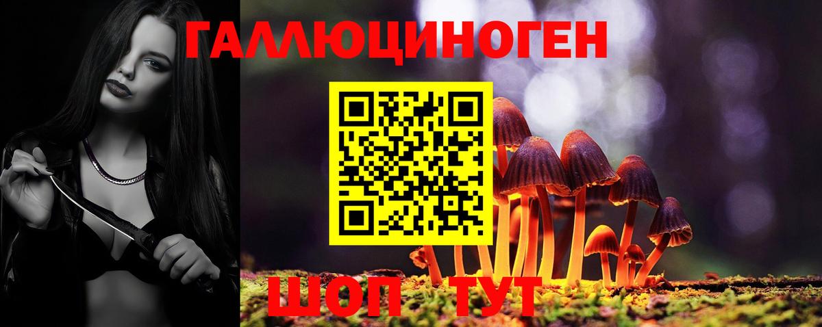 Галлюциногенные грибы Psilocybe  Галлюциногенные грибы мицелий  Вход с VPN  Дзержинский 