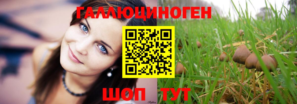 Псилоцибиновые грибы мухоморы Дзержинский